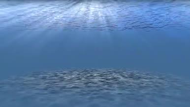 在AE中搭建的深蓝海底公园含音频视频的预览图